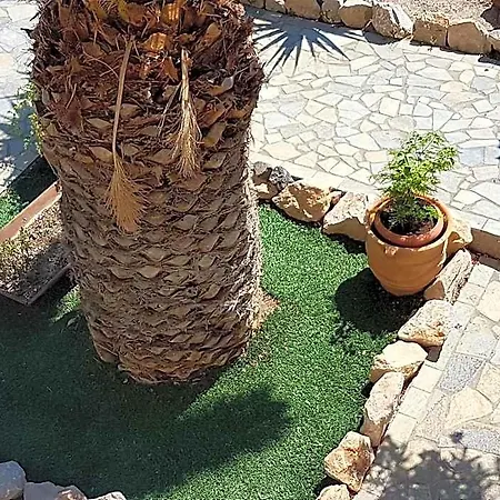 Ira & Studios