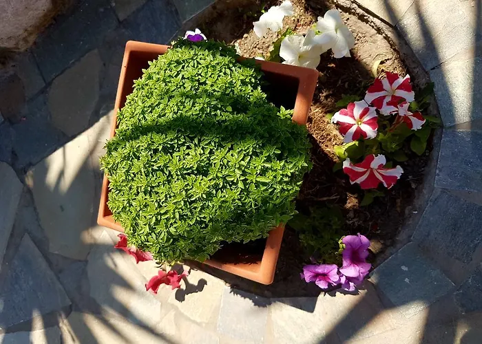 Apartmanhotel Ira 4*