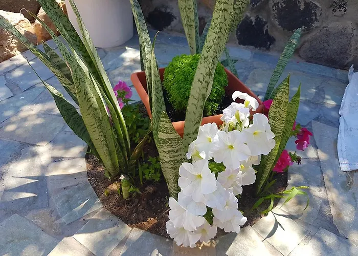 Aparthotel Ira Kamari (Santorini)