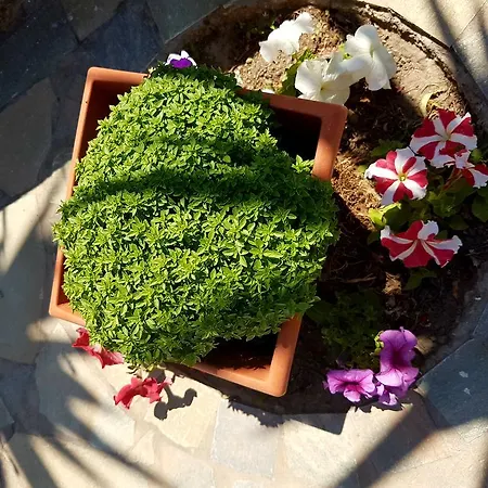 公寓式酒店 Ira 4*